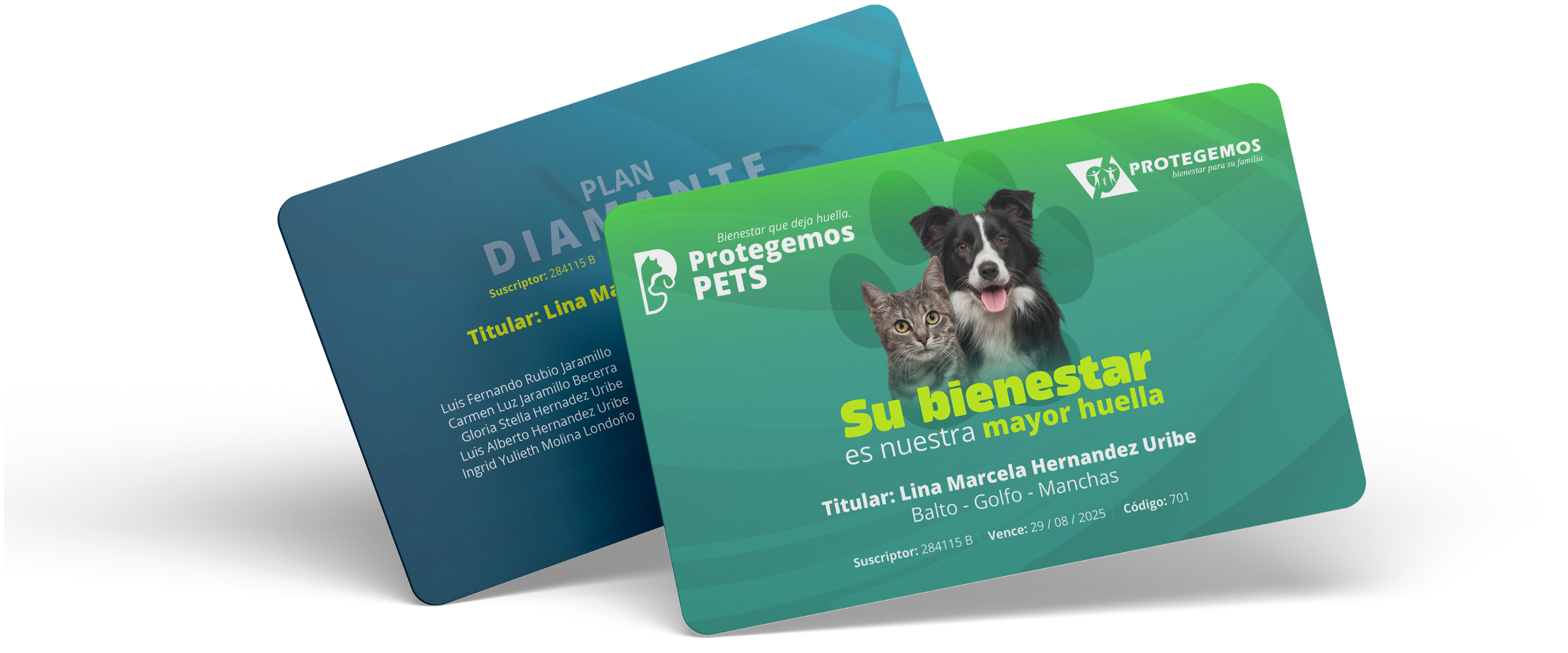 Plan 3D