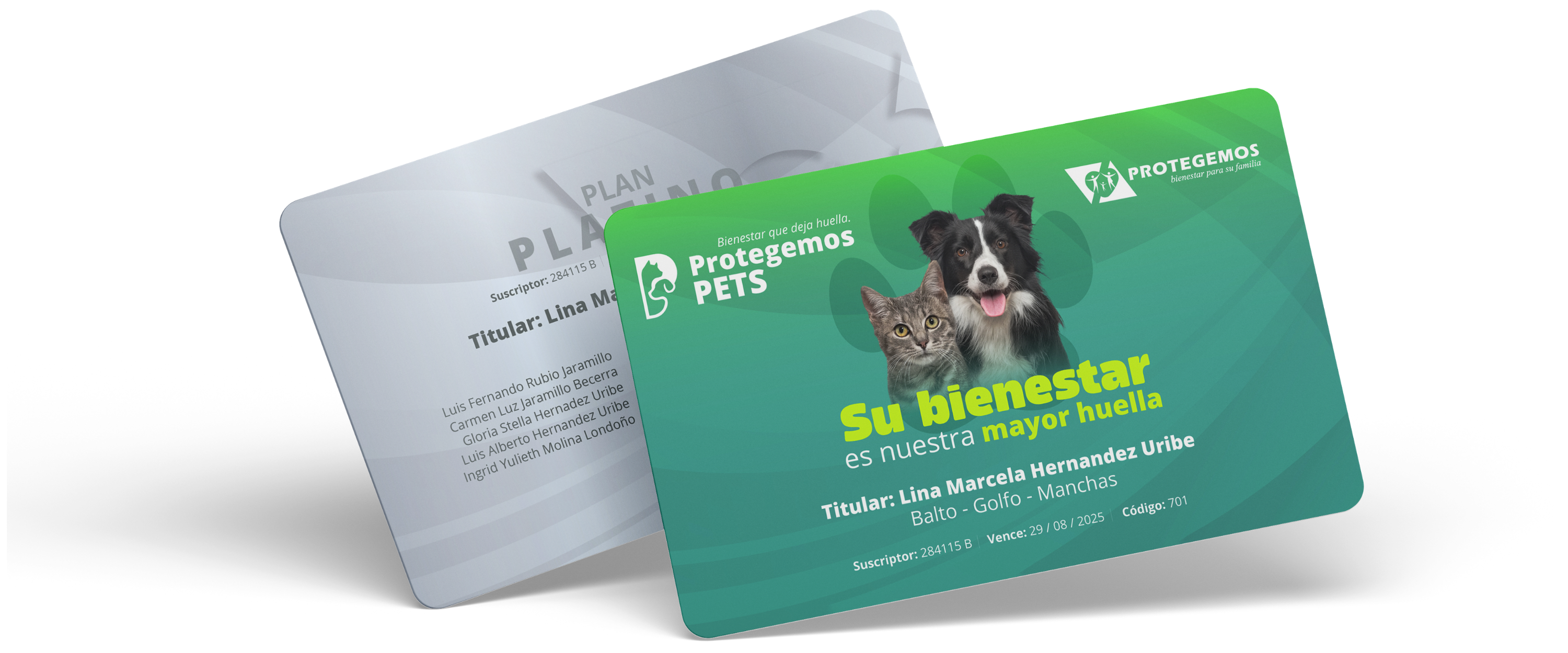 Plan 3D