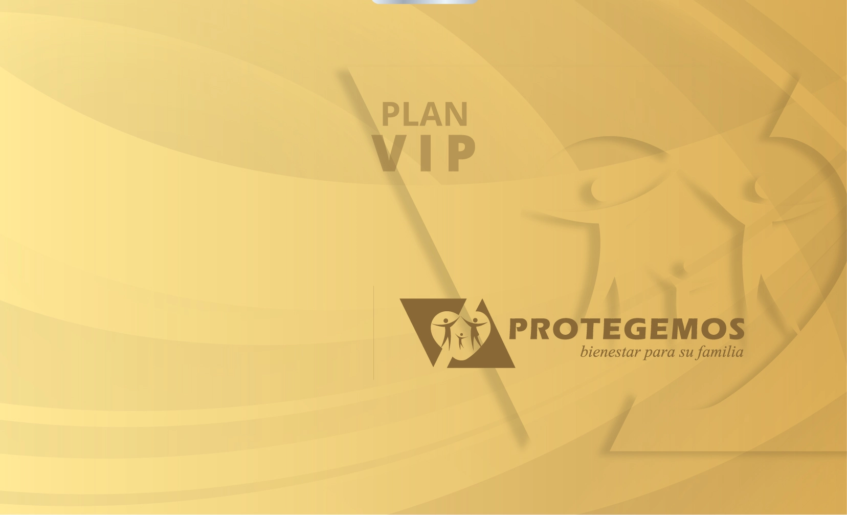 PLAN VIP